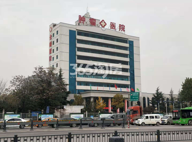 莱安万莱逸宸项目医疗配套肿瘤医院（2020.11.26）