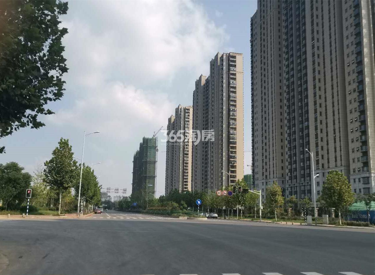 滨江雅园交通图