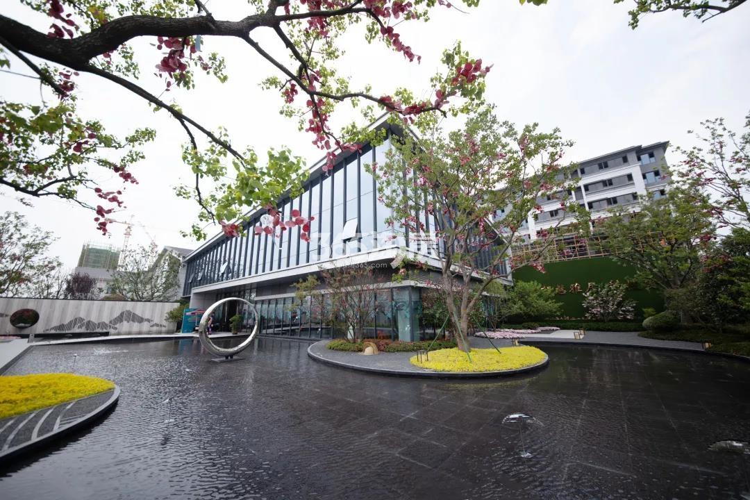 合肥雅郡示范区外部实景图（2020.8.18）