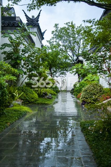 绿城南京桃花源实景图（8.24）_南京绿城南京桃花源_南京新房网_365淘房