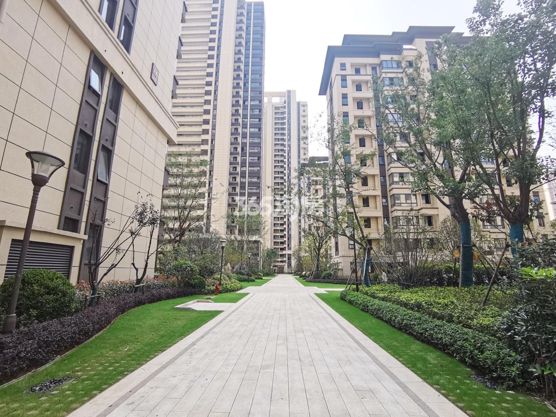 城建琥珀御宾府小区内部实景图（2020.10.16）