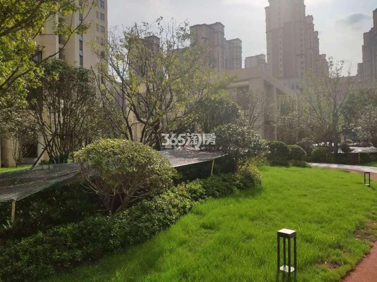 北雁湖金茂湾小区内部实景图（2020.09.02）