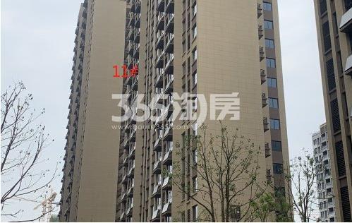 紫玥台11#楼工程进度实景图（2020.10.27）