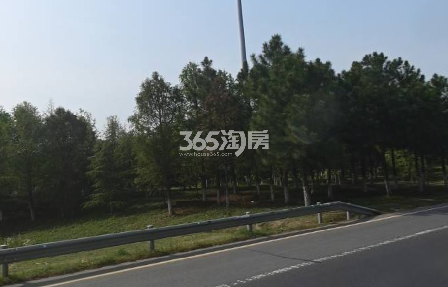 建发悦江南周边绿化实景图