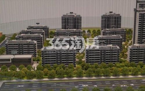 乐富强观悦台售楼部沙盘实景图（2021.12.15）