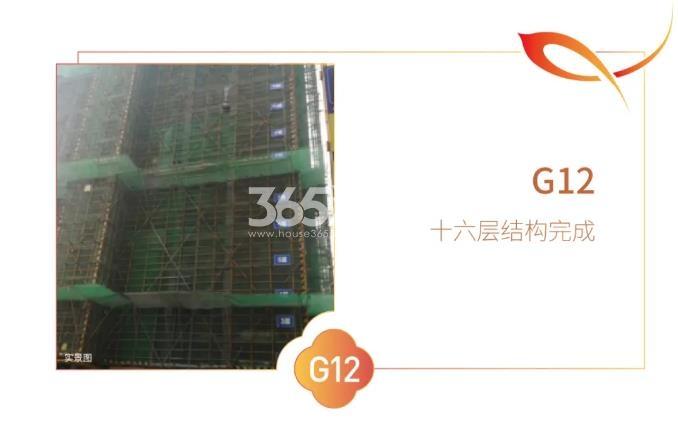 中交春风景里G12#楼工程进度实景图（2021.1.12）