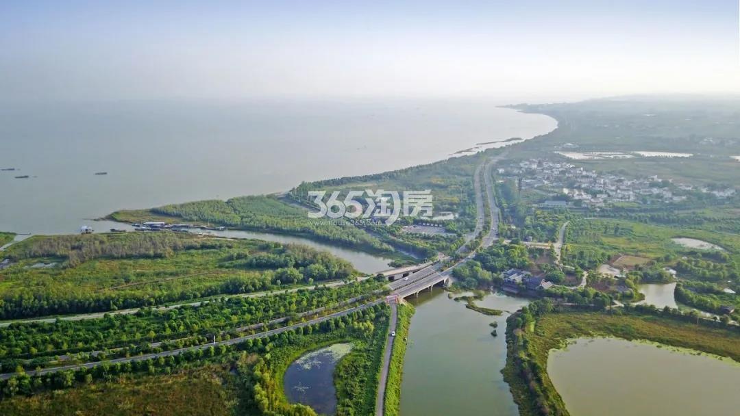 合肥桃李春风周边配套——巢湖烔炀河湿地（2020.11.11）