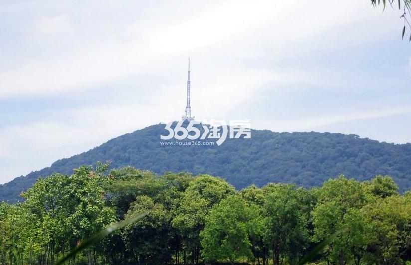 保利柏林之春周边蜀山森林公园配套图（2020.11.13）