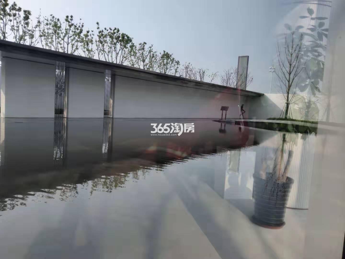 新力弘阳湖语时光示范区实景图（2021.3.19）