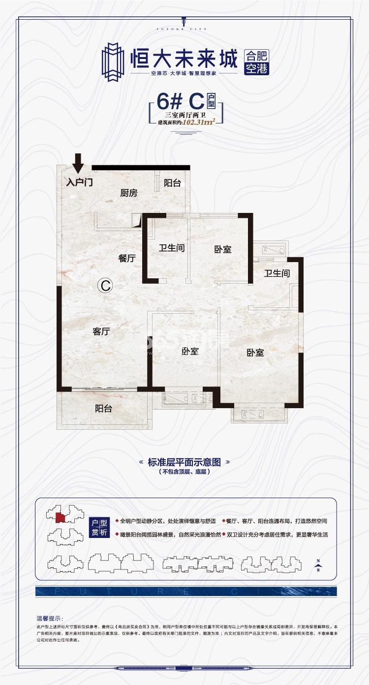 寿县恒大未来城6#102.3㎡C户型图