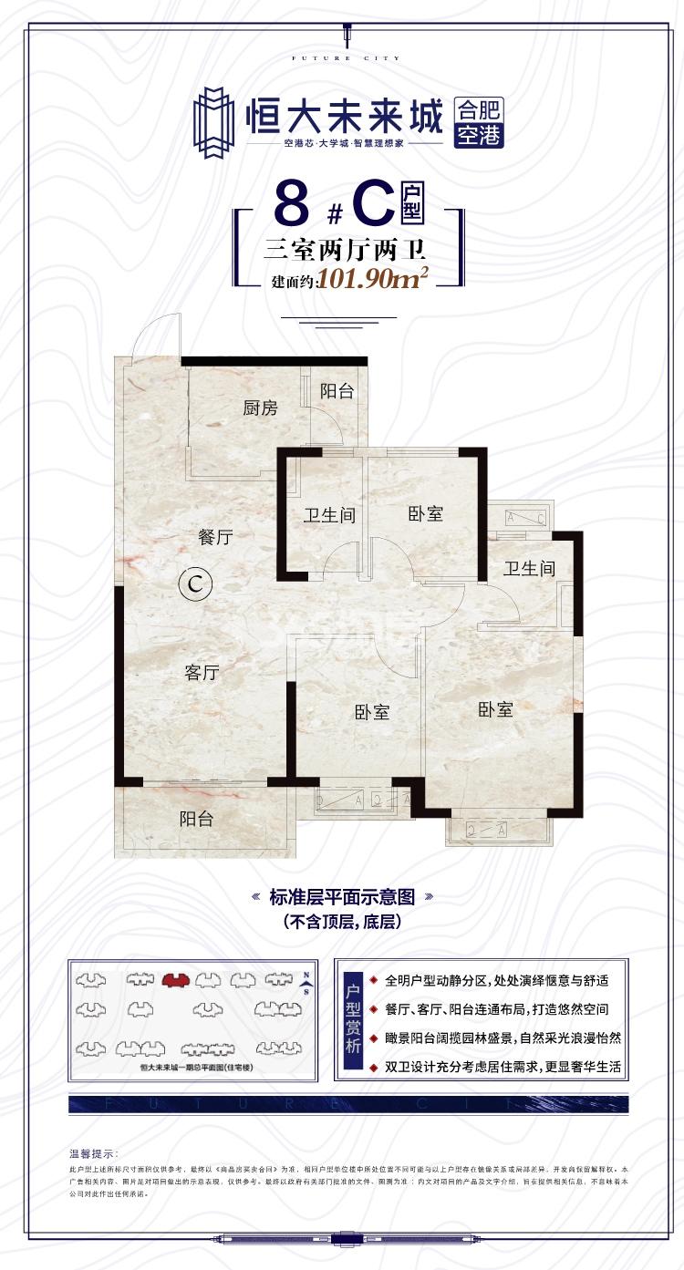 寿县恒大未来城8#101.90㎡C户型