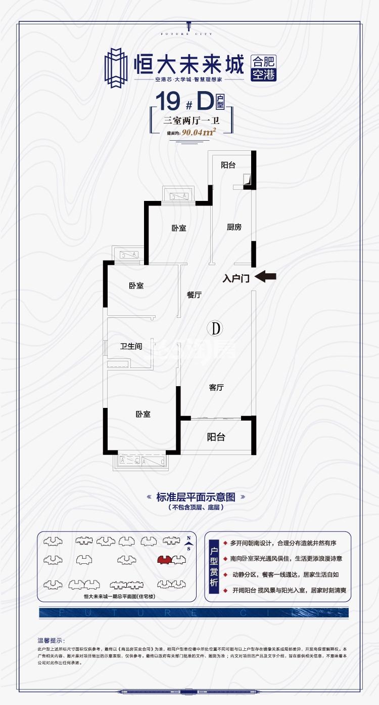 寿县恒大未来城19#90.04㎡D户型图