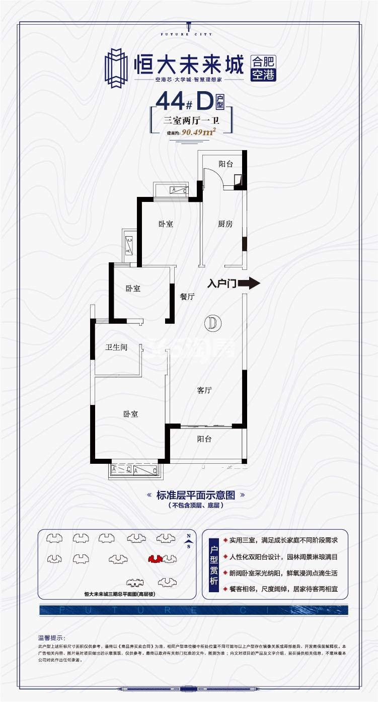 寿县恒大未来城44#90.49㎡D户型图