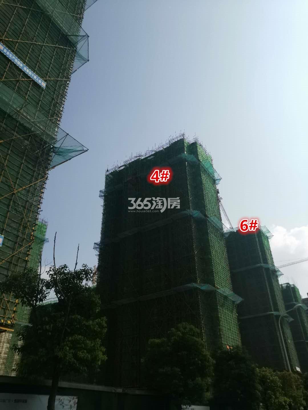 滨江雅园楼栋施工进展（9.30）