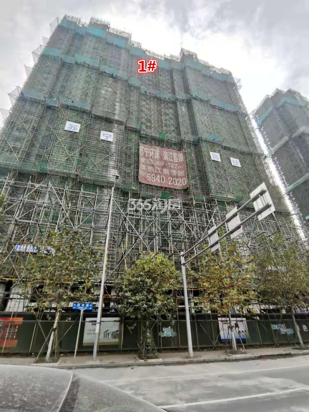 滨江雅园实景图