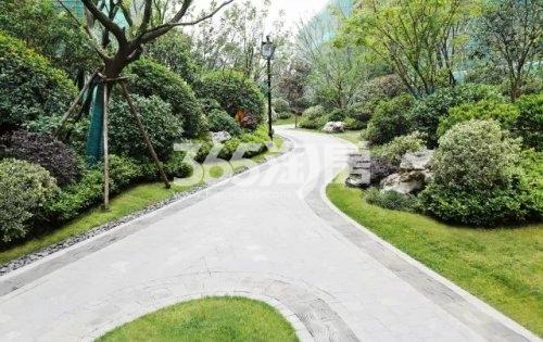 金鹏麓山院小区景观小道实景图（2020.10.11）