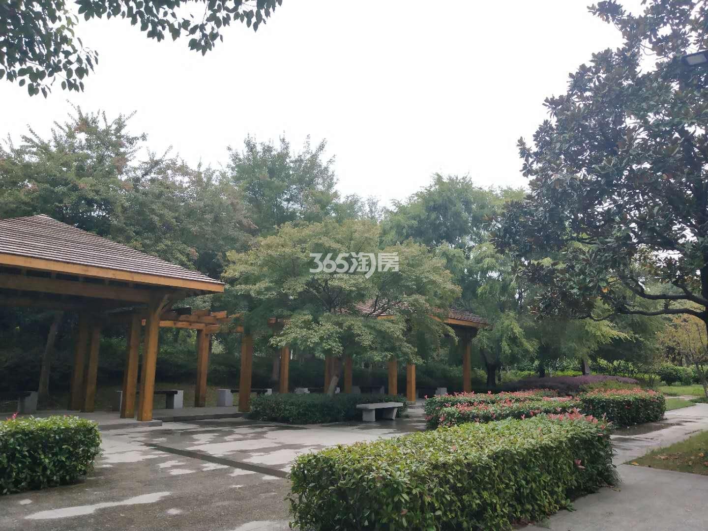 星河平江新著周边公园实景图