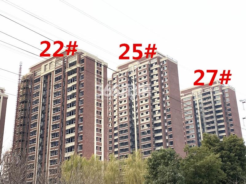 乐富强悦湖熙岸楼栋外立面实景图（2020.12.21）