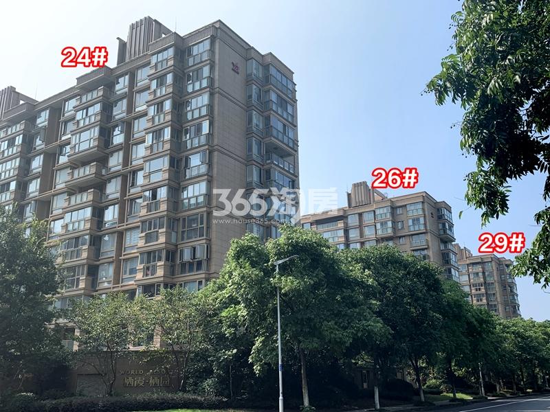 栖霞栖园北区24#、26#、29#楼现房实景（2020.8.30摄）