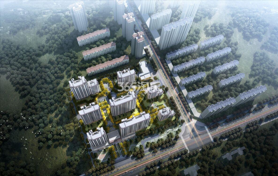 德信西宸府最新动态