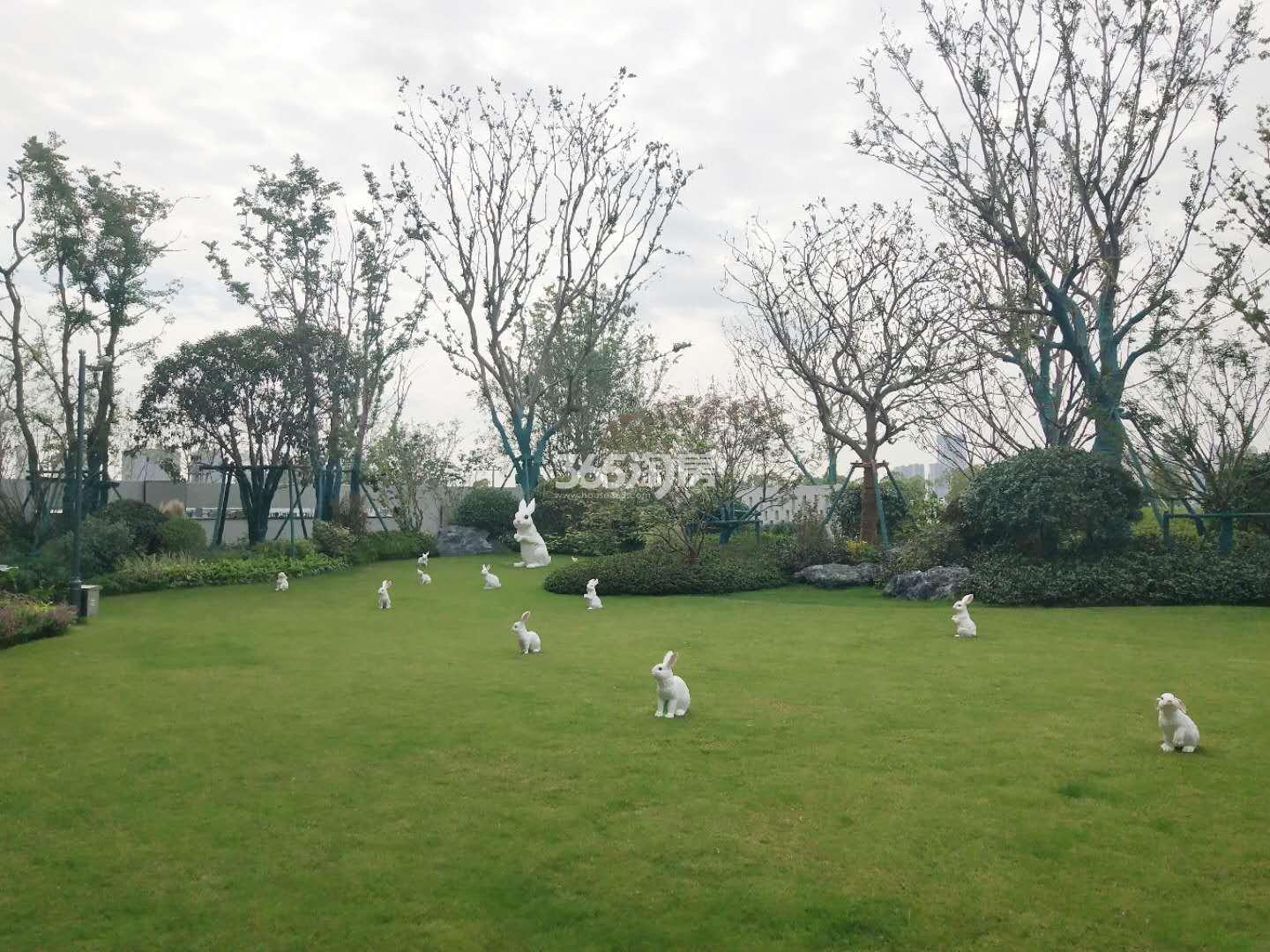 湖湾天地售楼处楼前草坪实景图