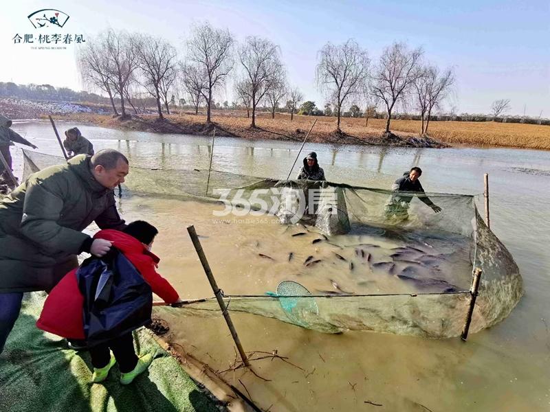合肥桃李春风活动实景图（2021.01.08）