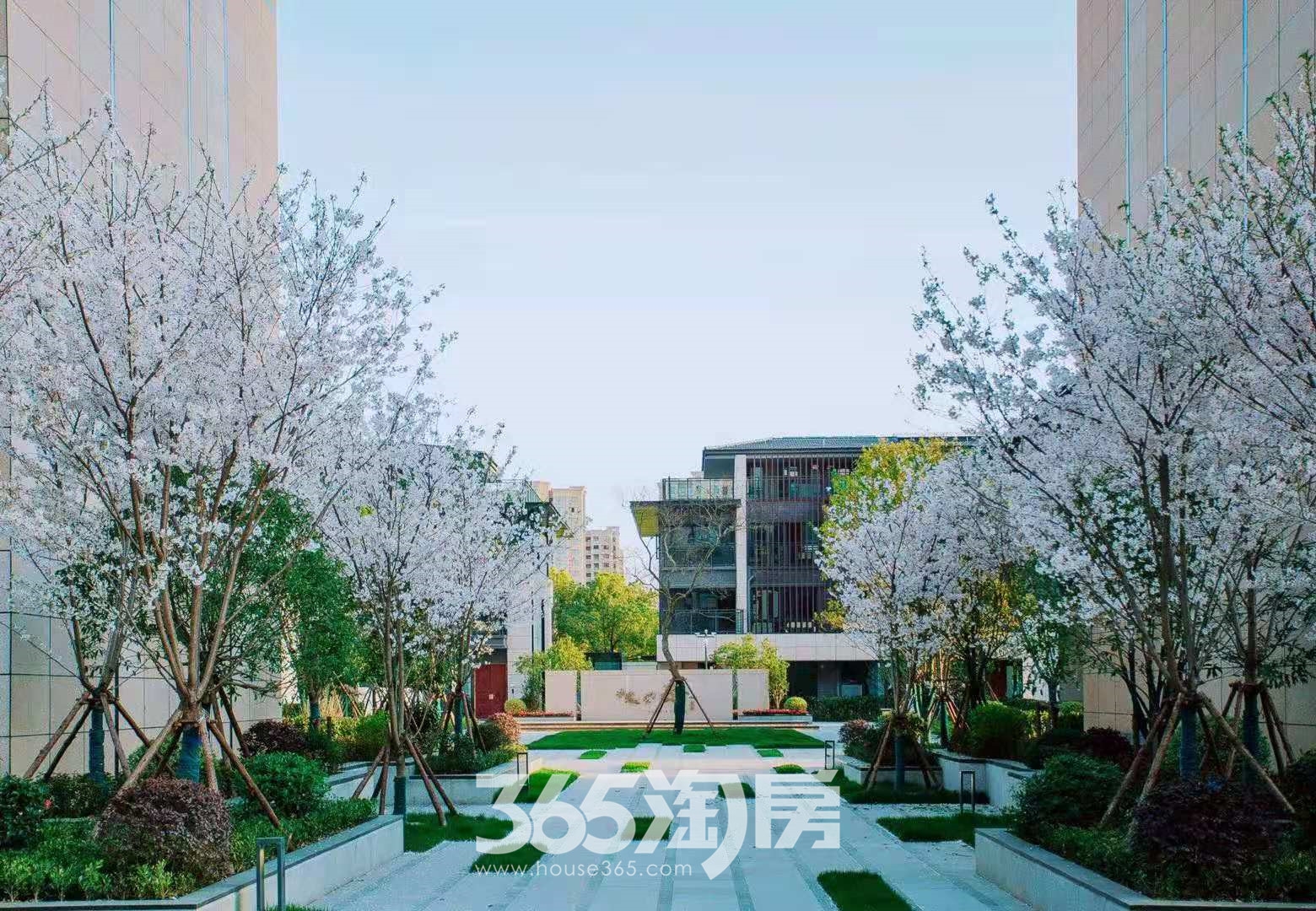 安展蔚然家园实景图
