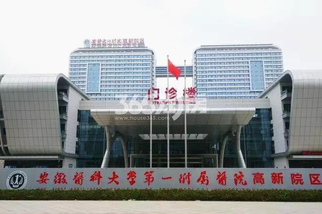 保利柏林之春周边安医附院高新分院配套图（2020.11.13）