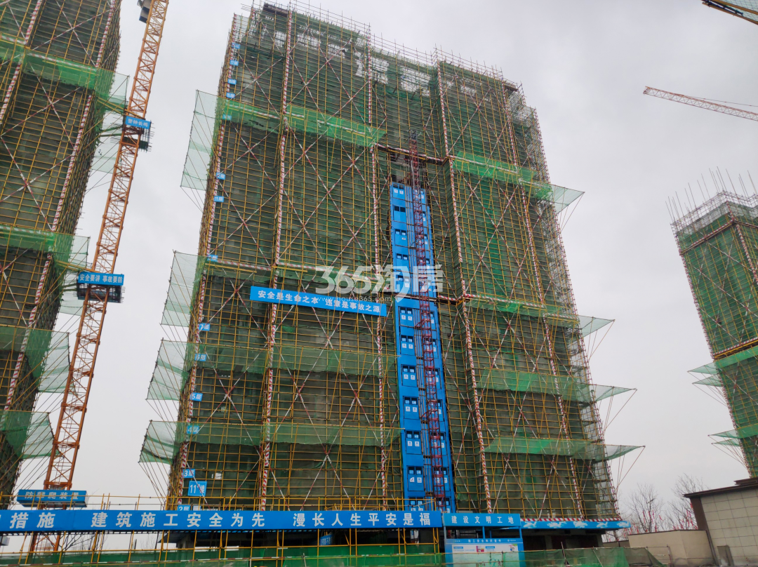 皖投新悦里G11#楼工程进度实景图（2021.3.15）