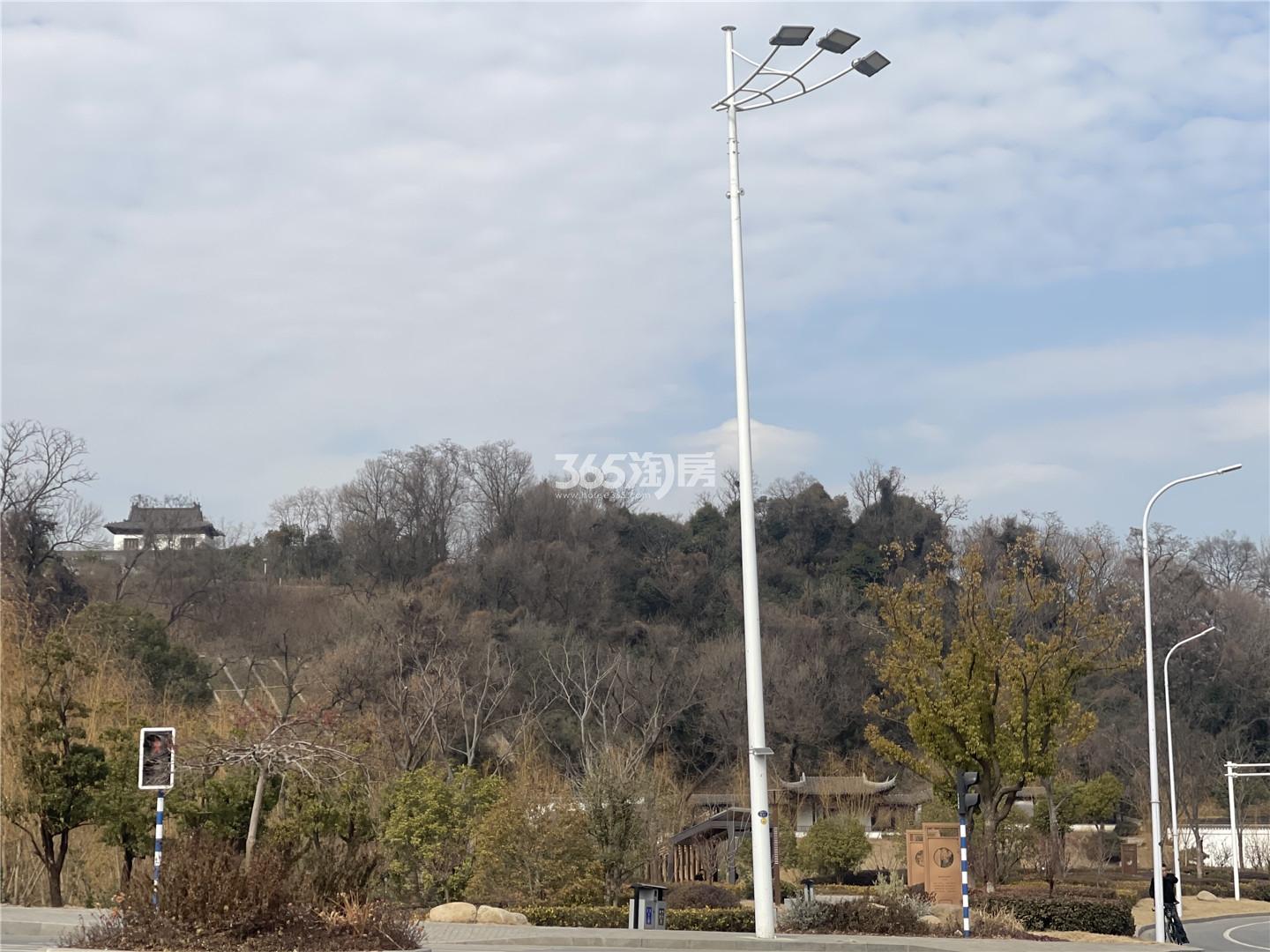 宝能滨江府实景图