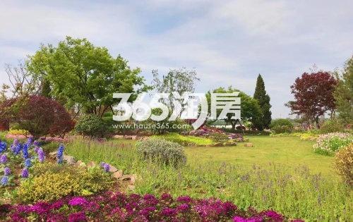 祥源花世界湖悦四季花海配套图（2021.5.12）