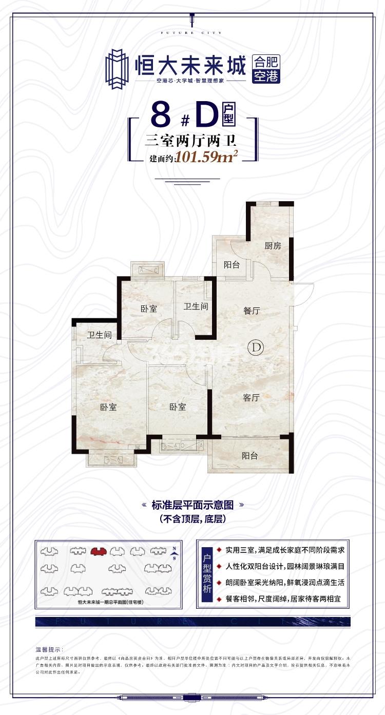 寿县恒大未来城8#101.59㎡D户型