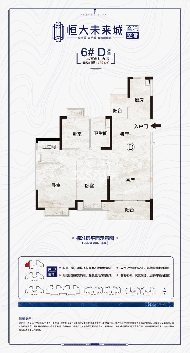 寿县恒大未来城6#102㎡D户型图