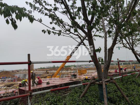 中南宸悦工地建设实景图（2021.5.15）