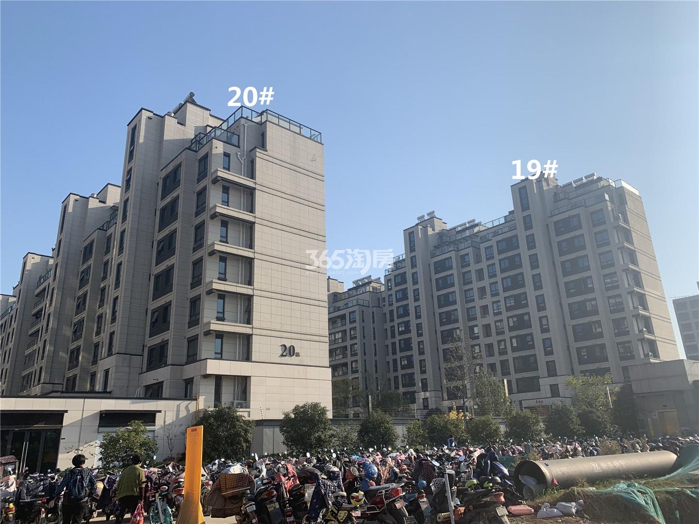 保利云禧19、20实景图（11.26）