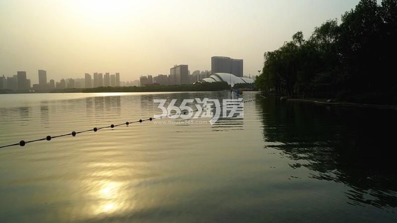 万兴湖山间周边配套-天鹅湖公园（2020.11.26）