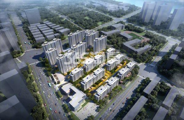 上实启元最新动态