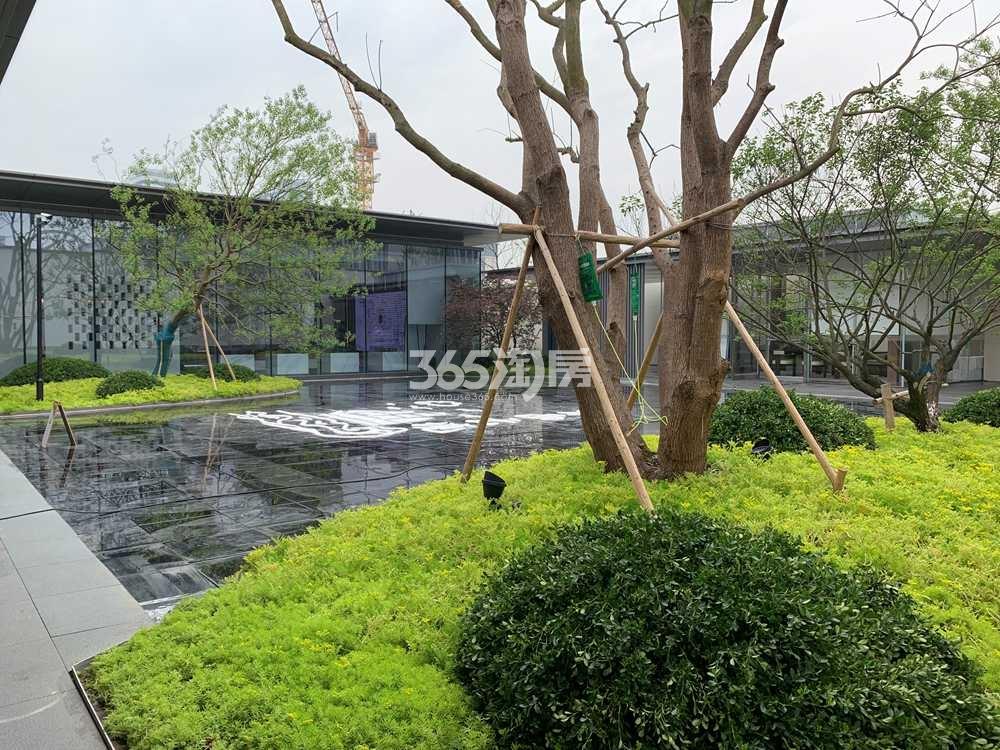 溪西云境示范区实景（2021.5.18摄）
